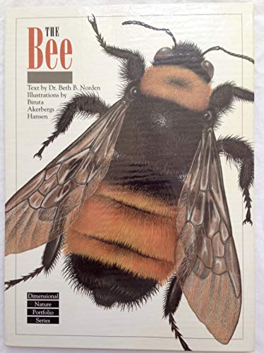 Imagen de archivo de The Bee (Dimensional Nature Portfolio Series) a la venta por Hafa Adai Books