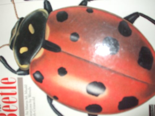 9781556702556: The Beetle (Dimensional Nature Portfolio Series)