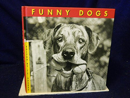 Beispielbild fr Funny Dogs zum Verkauf von Basement Seller 101