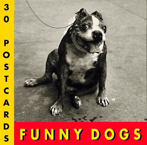 Funny Dogs Postcard Book (9781556704703) by Suares, J.C.