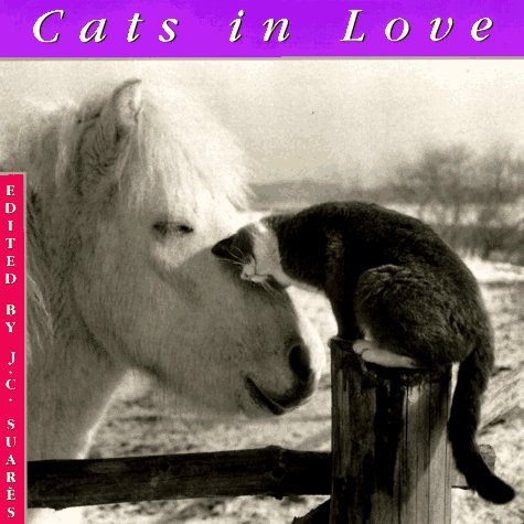 Imagen de archivo de Cats in Love a la venta por Better World Books: West