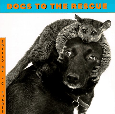 Beispielbild fr Dogs to the Rescue zum Verkauf von First Choice Books