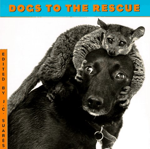 Stock image for Dogs to the Rescue for sale by First Choice Books