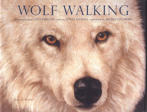 Beispielbild fr Wolf Walking zum Verkauf von SecondSale