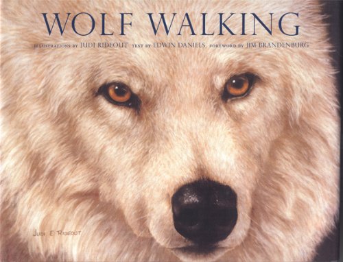 9781556705519: Wolf Walking