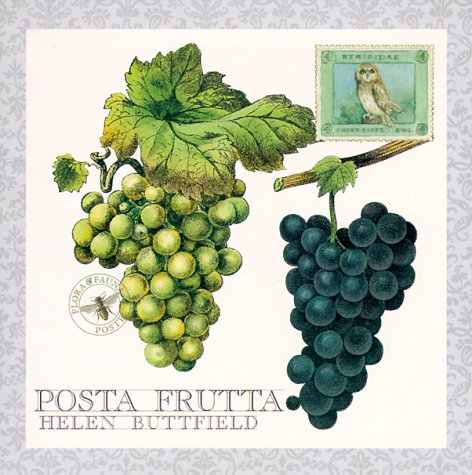 Beispielbild fr Posta Frutta - Postcard Book zum Verkauf von SecondSale