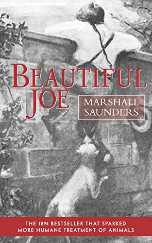 Stock image for Beautiful Joe (Paperback) (Applewood Books) for sale by HPB-Emerald
