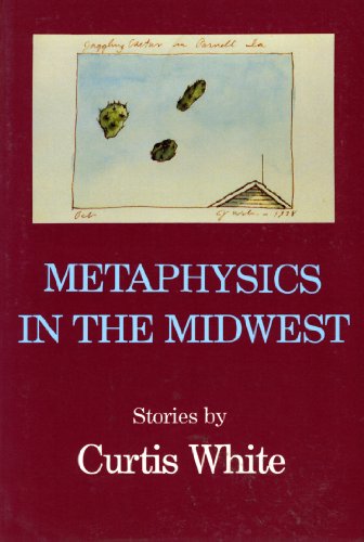 Beispielbild fr Metaphysics in the Midwest (American Fiction) zum Verkauf von medimops