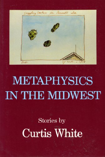 9781557130440: Metaphysics in the Midwest (American Fiction)