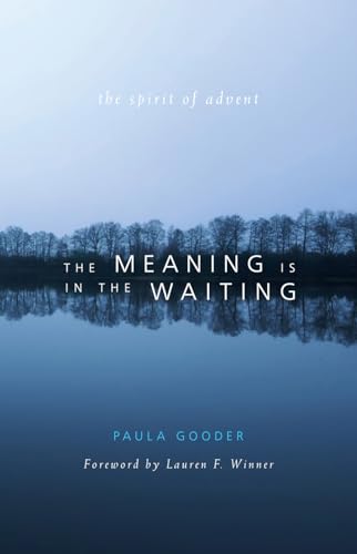 9781557256621: Meaning Is in the Waiting: The Spirit of Advent