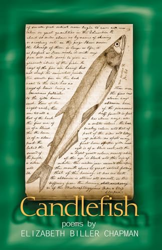 Imagen de archivo de Candlefish a la venta por Daedalus Books