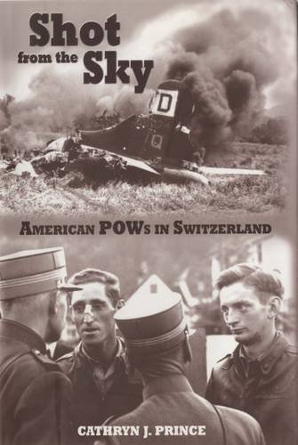 Immagine stock per Shot from the Sky: American Pows in Switzerland