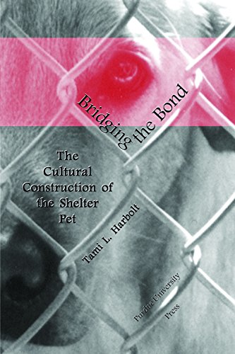 Beispielbild fr Bridging the Bond : The Cultural Construction of the Shelter Pet zum Verkauf von Better World Books