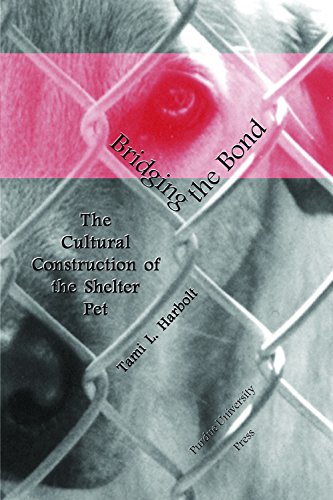 Stock image for Bridging the Bond: The Cultural Construction of the Shelter Pet (New Directions in the Human-Animal Bond) for sale by BooksRun