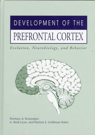 Stock image for Development of the Prefrontal Cortex: Evolution, Neurobiology, and Behavior for sale by SecondSale