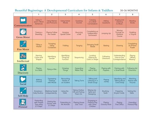 Beautiful Beginnings Stickers Set (9781557668226) by Raikes Ph.D., Helen H.; McCall Whitmer M.S., Jane