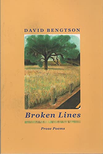 Beispielbild fr Broken Lines: Prose Poems zum Verkauf von HPB Inc.