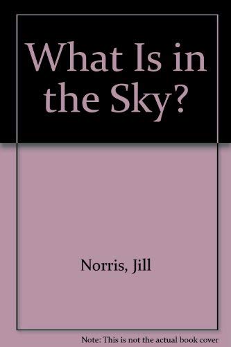 Stock image for What Is in the Sky? for sale by Booksavers of MD