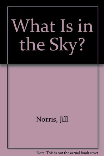 9781557994936: What Is in the Sky?