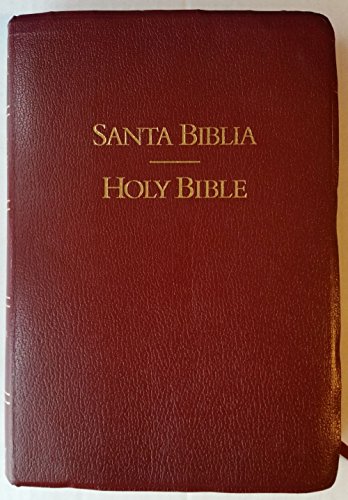 9781558192621: Bible Niv Bilingual Burgundy