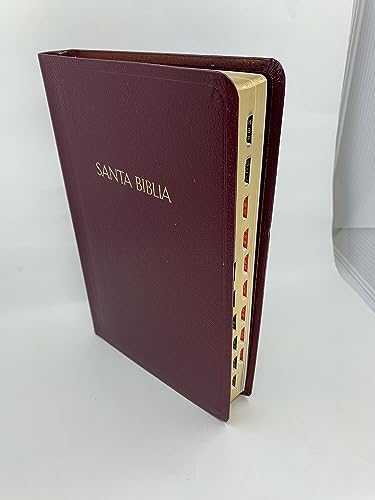 Stock image for RVR 1960 Biblia con Referencias, borgo for sale by Lexington Books Inc