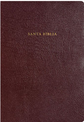 Beispielbild fr RVR 1960 Biblia de Estudio Arco Iris, borgoña piel fabricada (Spanish Edition) zum Verkauf von Once Upon A Time Books
