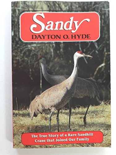 Stock image for Sandy for sale by ThriftBooks-Dallas