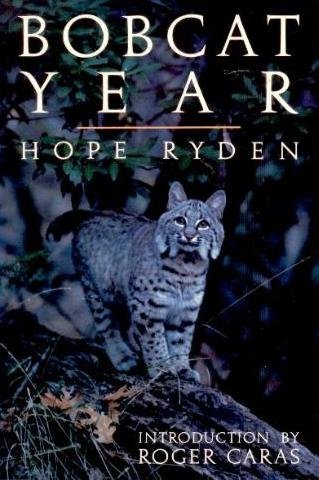 Stock image for Bobcat Year for sale by Wonder Book