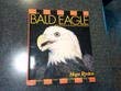 Beispielbild fr America's Bald Eagle zum Verkauf von Wonder Book