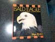 9781558211414: America's Bald Eagle