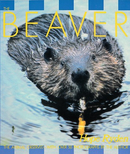 Beispielbild fr The Beaver zum Verkauf von Better World Books