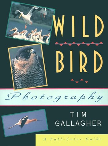 Beispielbild fr Wild Bird Photography zum Verkauf von Wonder Book