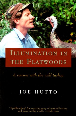 9781558216945: Illumination in the Flatwoods: A Season With the Wild Turkey