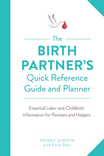 Stock image for The Birth Partners Quick Reference Guide and Planner: Essential Labor and Childbirth Information for Partners and Helpers for sale by Zoom Books Company