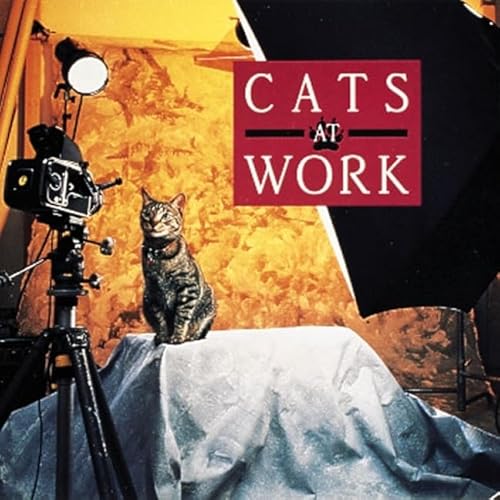 Beispielbild fr Cats at Work zum Verkauf von Wonder Book