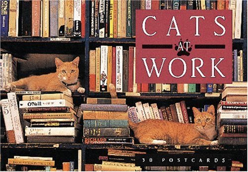 9781558594265: Cats at Work Postcard Book