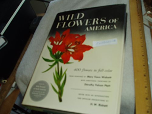 9781558595644: Wild Flowers of America: Based on Wild Flowers of North America (Tiny Folio)