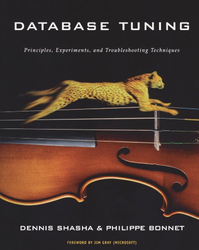 Stock image for Database Tuning: Principles, Experiments, and Troubleshooting Techniques (The Morgan Kaufmann Series in Data Management Systems) for sale by Decluttr