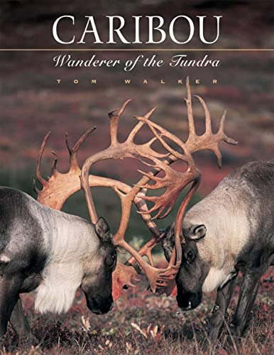 Imagen de archivo de Caribou : Wanderer of the Tundra a la venta por Better World Books
