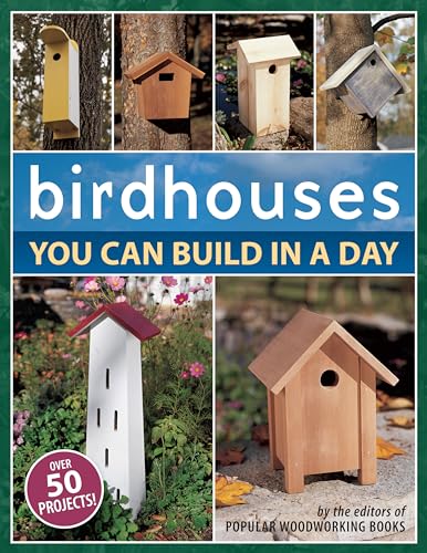 9781558707047: Birdhouses You Can Build in a Day (Popular Woodworking)