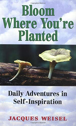 9781558744233: Bloom Where You're Planted: Daily Adventures in Self-inspiration