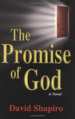 Imagen de archivo de The Promise of God: A Novel a la venta por BooksRun