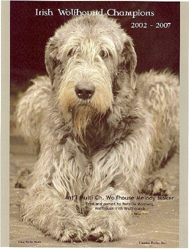 Irish Wolfhound Champions, 2002-2007 (9781558932357) by Linzy, Jan; Pata, Sharae; Pata, Janae