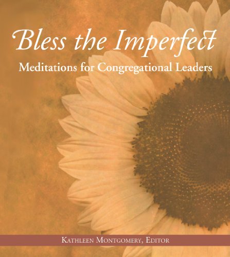 Stock image for Bless the Imperfect: Meditations for Congregational Leaders for sale by BooksRun