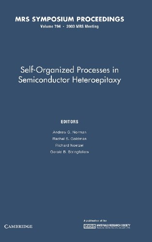 Stock image for Self-Organized Processes in Semiconductor Heteroepitaxy: Volume 794 for sale by Basi6 International
