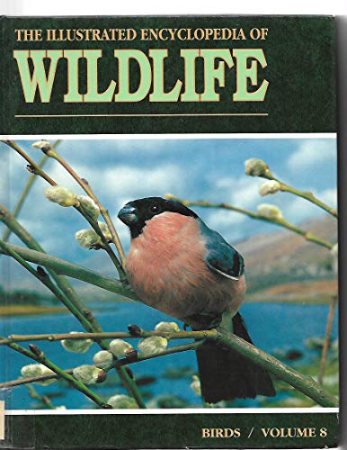 Imagen de archivo de The Illustrated Encyclopedia of Wildlife: Birds, volume 8 part III a la venta por Dailey Ranch Books