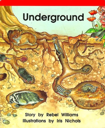 Beispielbild fr Underground (Set D) zum Verkauf von ThriftBooks-Atlanta