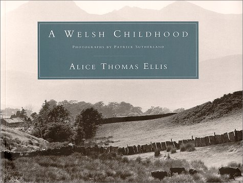 9781559212830: A Welsh Childhood