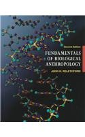 Imagen de archivo de Fundamentals of Biological Anthropology. 2nd Edition. a la venta por Bingo Used Books