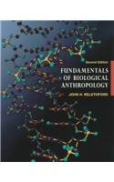 Stock image for Fundamentals of Biological Anthropology for sale by Wonder Book